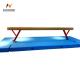 Gymnastics Gym Exercise Equipment Balance Beam And Mat For Home 400*10*80-120cm