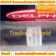 DELPHI Original Remanufactured Injector EJBR02901D / 33800-4X800 /33801-4X810