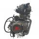 LIFAN CG cool 200cc DAYANG Motorcycle Engine Assembly Single Cylinder Four Stroke Style