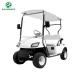 Qing Dao Raysince 48V battery  electric golf carts 2seats cheap Chinese golf carts for sale 2021