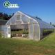 Customizable Size High Tunnel Agricultural Single-span Plastic Film Greenhouse for Vrgetable