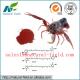 GMP manufacturer and competitive price CAS:472-61-7 astaxanthin price