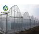 Commercial Plastic Film 4m Multi Span Greenhouse For Vegetables