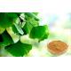 Pharmaceutical Grade Ginkgo Biloba Extract For Health Care Products