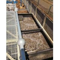 5.5t 66m3/H Poultry Farm MBBR Wastewater Treatment Plant ISO9001