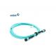 MTP Female - MTP Female OM3 12 / 24 Fibers Trunk Cable 3M With PVC / LSZH Jacket