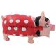 Hot Sale pet toys New Style Latex Pig Dog Toy