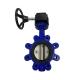 Industrial Ductile Iron Butterfly Valve Gear Operated DIN3202