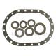Pipe Flanges Expandable SS304 Graphite Ring Gasket