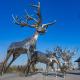 Mirror SS Garden Animal Sculptures Realistic Metal Deer Garden Sculptures