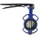 Waterline DN100 OEM Ductile Iron Butterfly Valve