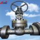 6 Inch 5A-2500 Class Dual Stainless Steel Gate Valve Middle Bolt Design