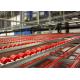 Custom Industrial Rolling Shelves , Garage Storage Carton Flow Rack Systems Plastic
