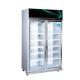 Big Capacity Vertical Display case freezer with double Glass Door