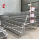 Cold Galvanized Poultry Battery Cage System 40 doors Egg Laying Chicken Cage Adela