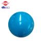 1000g Pilates Balance Ball Custom Colour For Muscle Power Strengthening