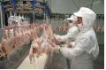 China gets WTO backing in chicken import row with US