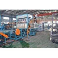 Automatic Recycled Pulp Paper Pulp Molding Machine 6000 Pcs/Hr Capacity