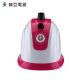 Flat Pole Industrial Clothes Steamer , Auto Shut Off Stand Up Clothes Steamer