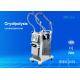 Portable Frozen Cryolipolysis Slimming Machine For Spots / Wrinkles Removal