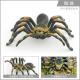 Insect Figures Model Toy Spider Figurines Party Favors Supplies Cake Toppers Decoration Set Toys
