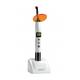 LED CURING LIGHT