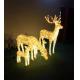 christmas reindeer lights