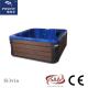 Family Luxury Spa Whirlpool Hot Tub  5 Person Capacity With TV / DVD/ WIFI / Bluetooth