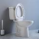 Single Flush Two Piece Elongated Toilet Right Height 12 Rough In S-Trap