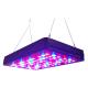 Cidly 5W led grow lights hydroponics red blue LEDs contorl separately
