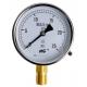 Gaseous Liquid Differential Pressure Gauge MC Pressure Gauge IP65 -1KPa-205KPa