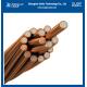 30% Conductivity CCS Copper Clad Steel Wire Strand Conductor ASTM B228 For High Frequency