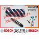 Bosch Common Rail Injector Nozzle Assembly And Parts 0445120193 For Cummins