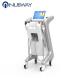 Factory price 2 handles acne, scar, wrinkle removal Fractional RF microneedling machine