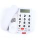 Thunder Proof Big Button Telephone LCD Backlight RoHS Caller ID Telephone