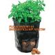 Smart Grow Bags For Potato/Plant Container/Aeration Fabric Pots With Handles Fabric Plants Pots with Handles, Indoor