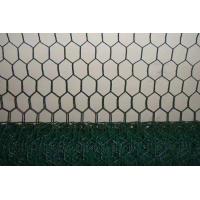 25M Plastic Coated Chicken Wire Netting 0.8mm hexagonal poultry netting