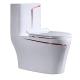 Sanitary Ware One Piece Bathroom Toilets White Ceramic Manual Button