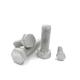 8.8 10.9 ASTM A325 High Strength DIN933 Hot Dip Galvanized Hex head Bolts and Nuts