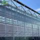 Vegetables Farm Glass Green House with Eaves Height 3m-8m Optimal Growing Conditions