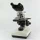 Electric Student Binocular Microscope Binocular Light Compound Microscope