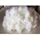 Flame Retardant 22D Recycled Polyester Short Cut Fiber Ivory White Color