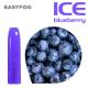 Blueberry Ice 600 Puffs Disposable Vape Pod 1.6ohm Portable 2mL Tank