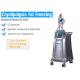Body Slimming / Shaping Cryolipolysis Fat Freezing Machine With Intelligent Temperature Control