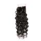 Malaysian Water Wave Swiss Lace Closure Free Parting Natural Color No Shedding