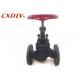 Normal Temperature Globe Valve Oil Industry Manual Operated Cast Steel Wcb