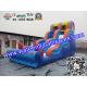 Inflatable Water Slide For Amusement Park  / Inflatable Pool Slide