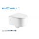 Sewage Smooth Wall Mounted WC Single Piece With Rimless Flushing System