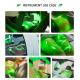 Green Laser Slimming Machine FDA Cleared For Overall Body Circumference Reduction