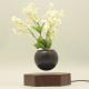 wooden base creative magnetic levitation floating air bonsai plant tree flowerpotted for gift